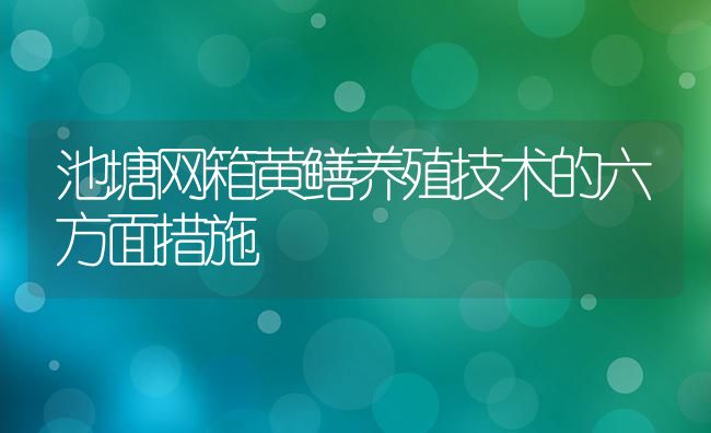 池塘网箱黄鳝养殖技术的六方面措施